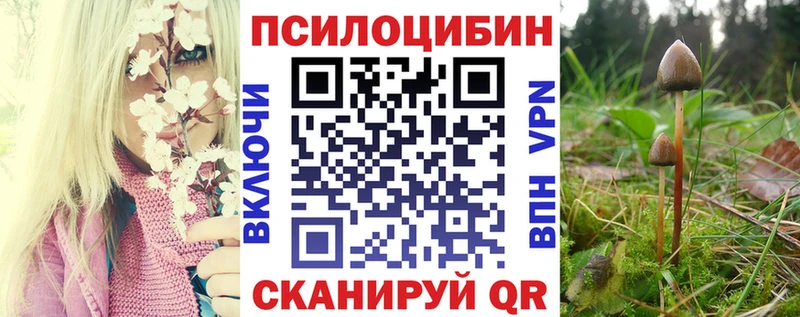 Галлюциногенные грибы Psilocybine cubensis  Тотьма 